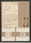 Navicula mutica Kuetz. (de-Toni-Nr.: Genus 1, Species 397) Zeichnungen Sammlung Grunow Nr. 891 (NHMW-BOT-W0367344)